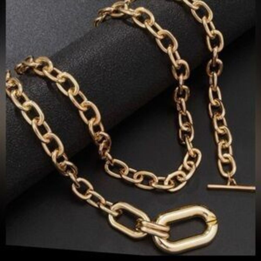 NWT Zara Set Gold 2- Interlock Oval Circle Link Chain Necklace double - Picture 2 of 3